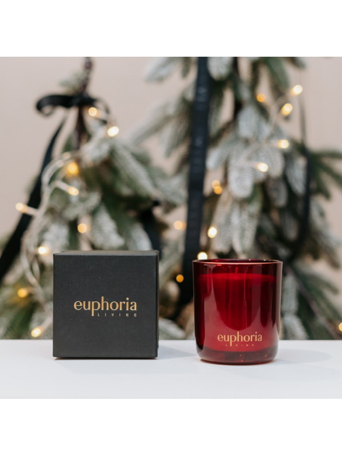 Festive Moments Festive Moments