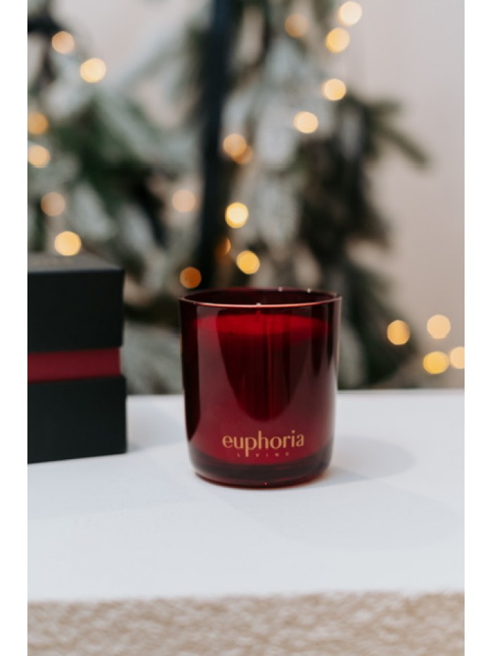 Festive Moments Festive Moments