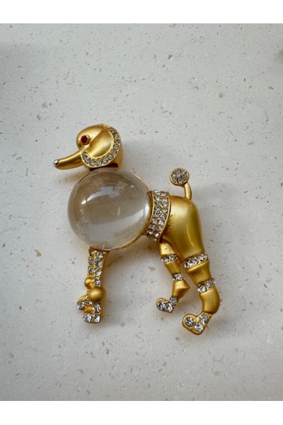 ΚΑΡΦΙΤΣΑ ΣΚΥΛΑΚΙ ΚΑΡΦΙΤΣΑ ΣΚΥΛΑΚΙ