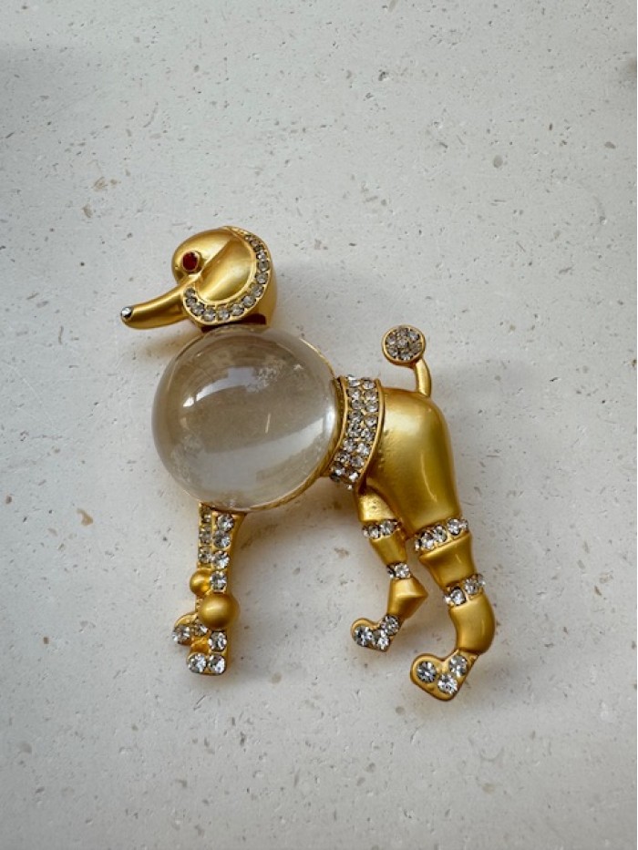 ΚΑΡΦΙΤΣΑ ΣΚΥΛΑΚΙ ΚΑΡΦΙΤΣΑ ΣΚΥΛΑΚΙ