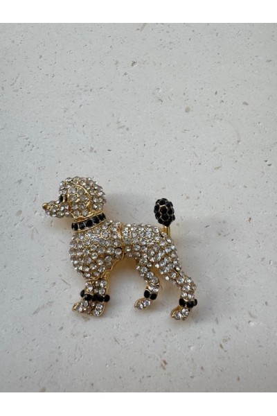 ΚΑΡΦΙΤΣΑ ΣΚΥΛΑΚΙ ΚΑΡΦΙΤΣΑ ΣΚΥΛΑΚΙ