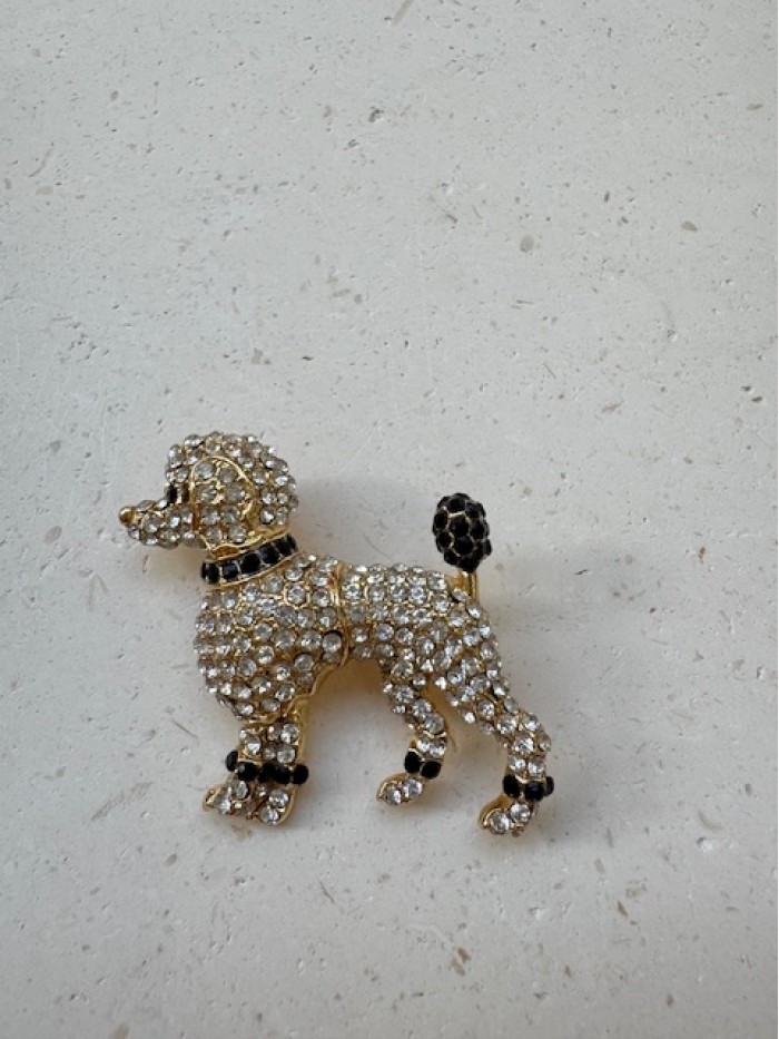 ΚΑΡΦΙΤΣΑ ΣΚΥΛΑΚΙ ΚΑΡΦΙΤΣΑ ΣΚΥΛΑΚΙ