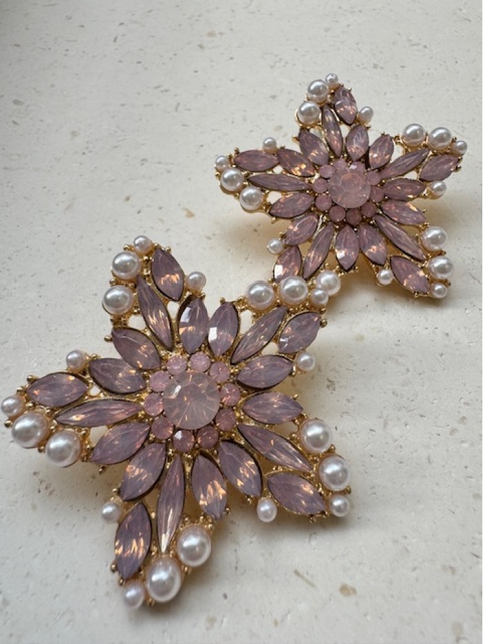 ΣΚΟΥΛΑΡΙΚΙΑ ΑΣΤΕΡΙΑΣ ΡΟΖ ΣΚΟΥΛΑΡΙΚΙΑ ΑΣΤΕΡΙΑΣ ΡΟΖ