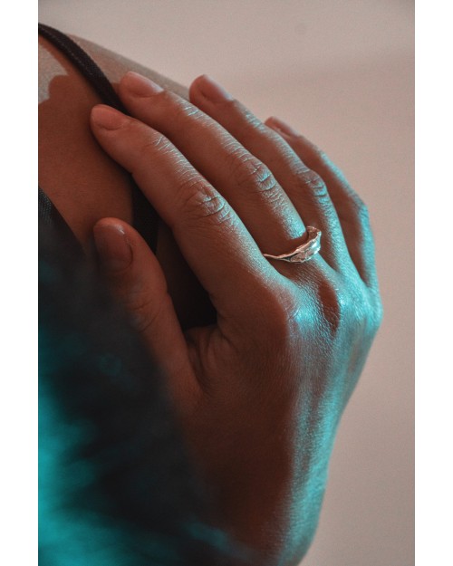 NA250 Brim Ring